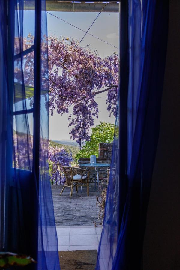 La Vieille Maison - Halte Gourmande Durfort-et-Saint-Martin-de-Sossenac Luaran gambar