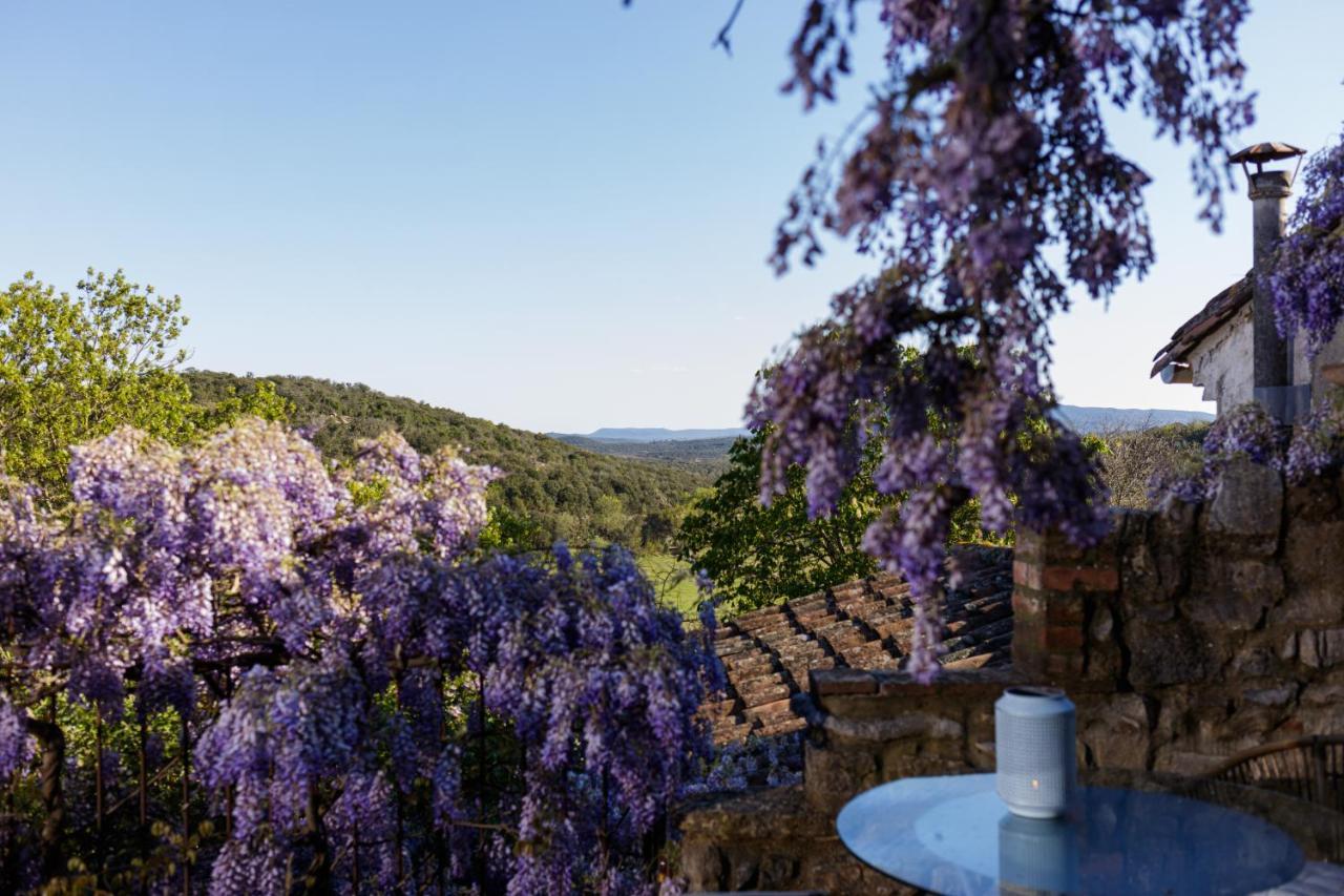 La Vieille Maison - Halte Gourmande Durfort-et-Saint-Martin-de-Sossenac Luaran gambar