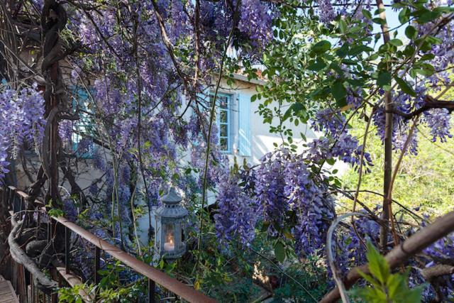 La Vieille Maison - Halte Gourmande Durfort-et-Saint-Martin-de-Sossenac Luaran gambar
