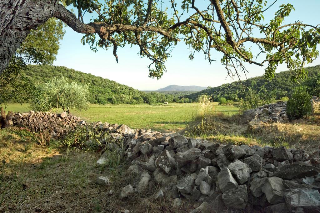 La Vieille Maison - Halte Gourmande Durfort-et-Saint-Martin-de-Sossenac Luaran gambar