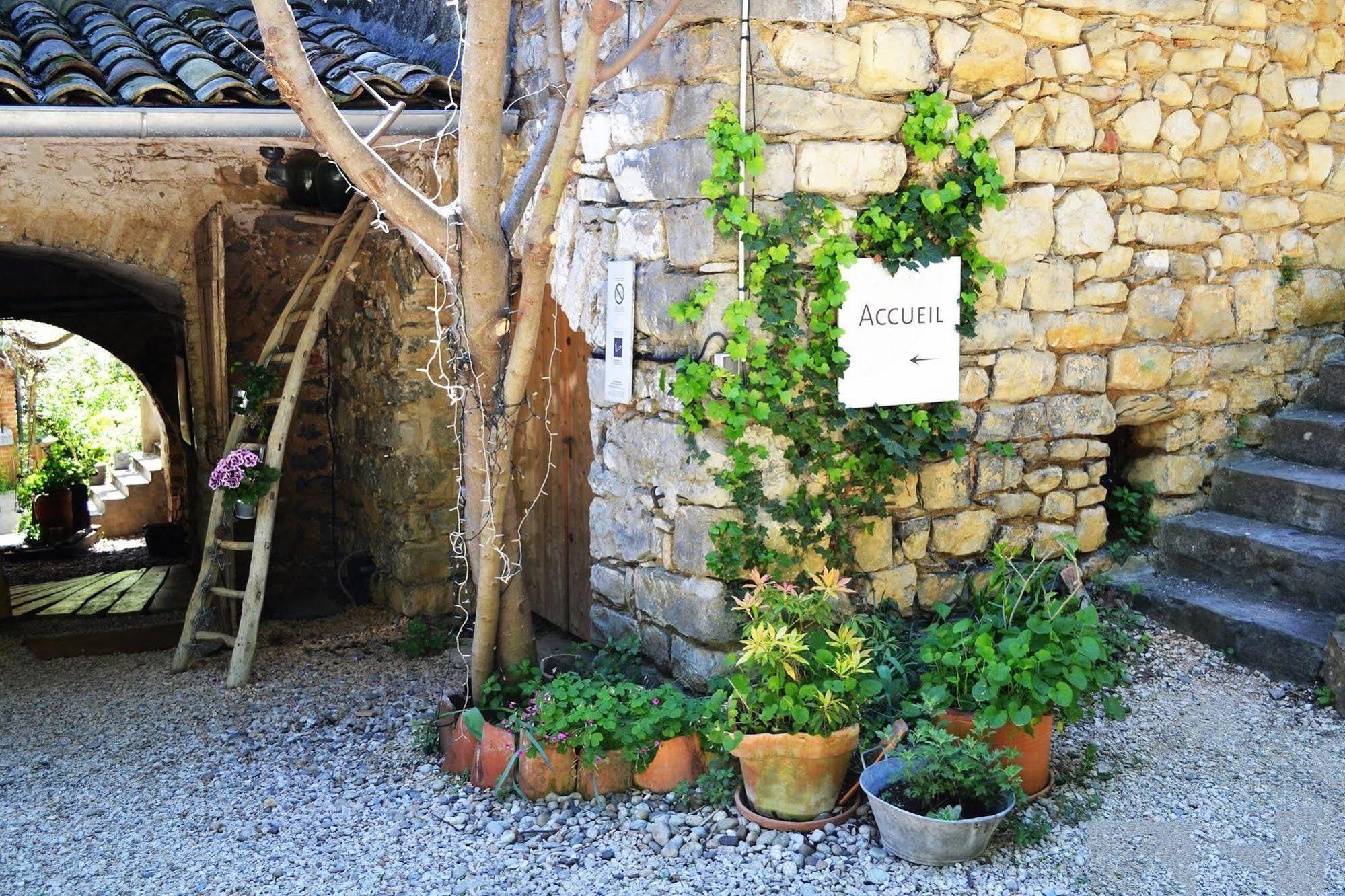 La Vieille Maison - Halte Gourmande Durfort-et-Saint-Martin-de-Sossenac Luaran gambar